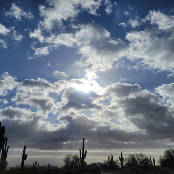 Meet your Posher, Mike - Picture 2 of 2